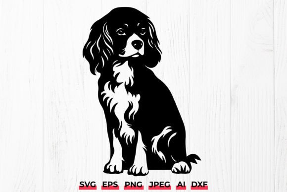 Cavalier King Charles Spaniel Dog Pet