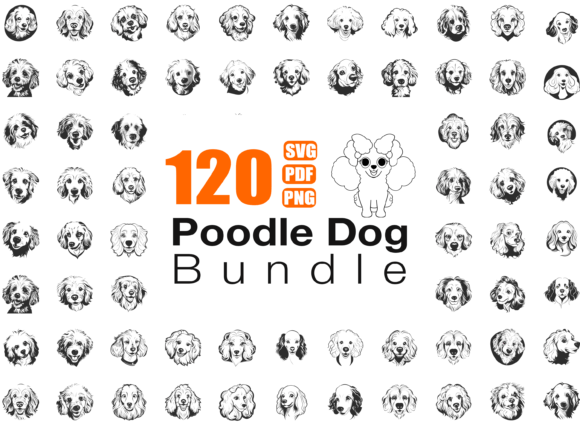 Poodle Dog Breed